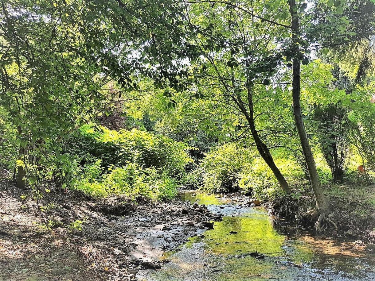 Muskatli Vendeghaz Hostel Parád Buitenkant foto